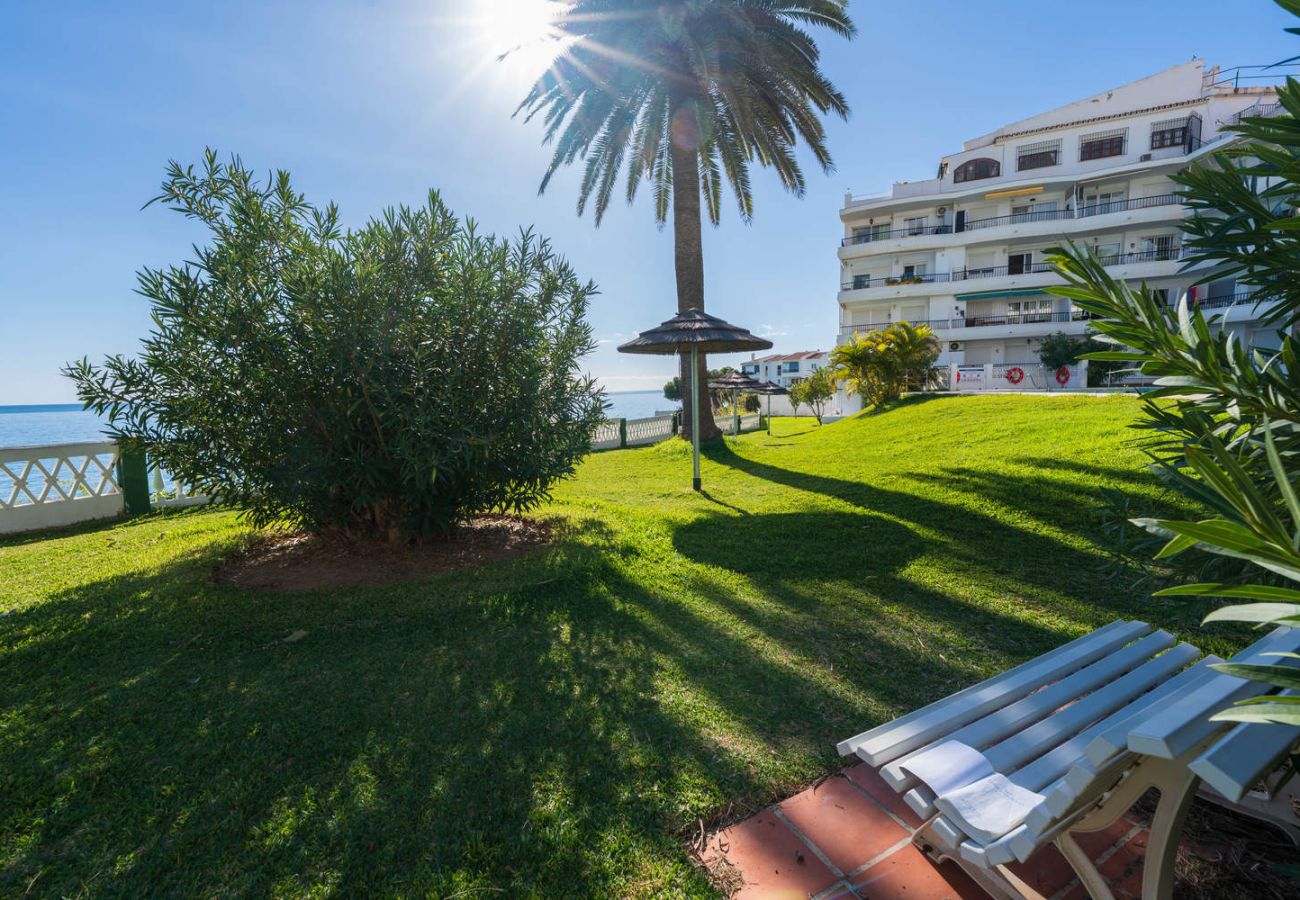 Giardini ben curati intorno alla piscina del complesso Acapulco Playa