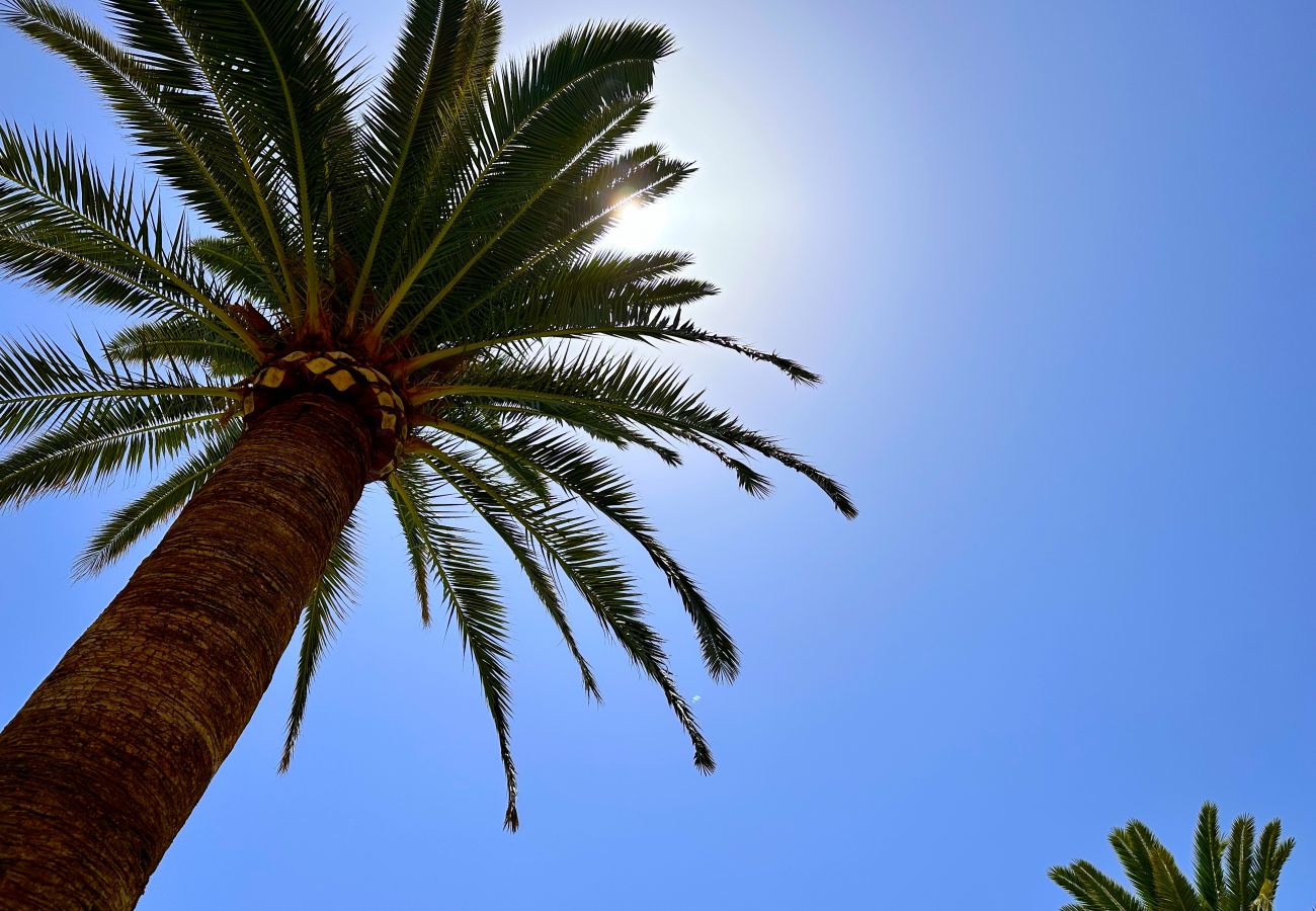 Studio a Nerja - Carabeo 26 Boutique Studio by Casasol 