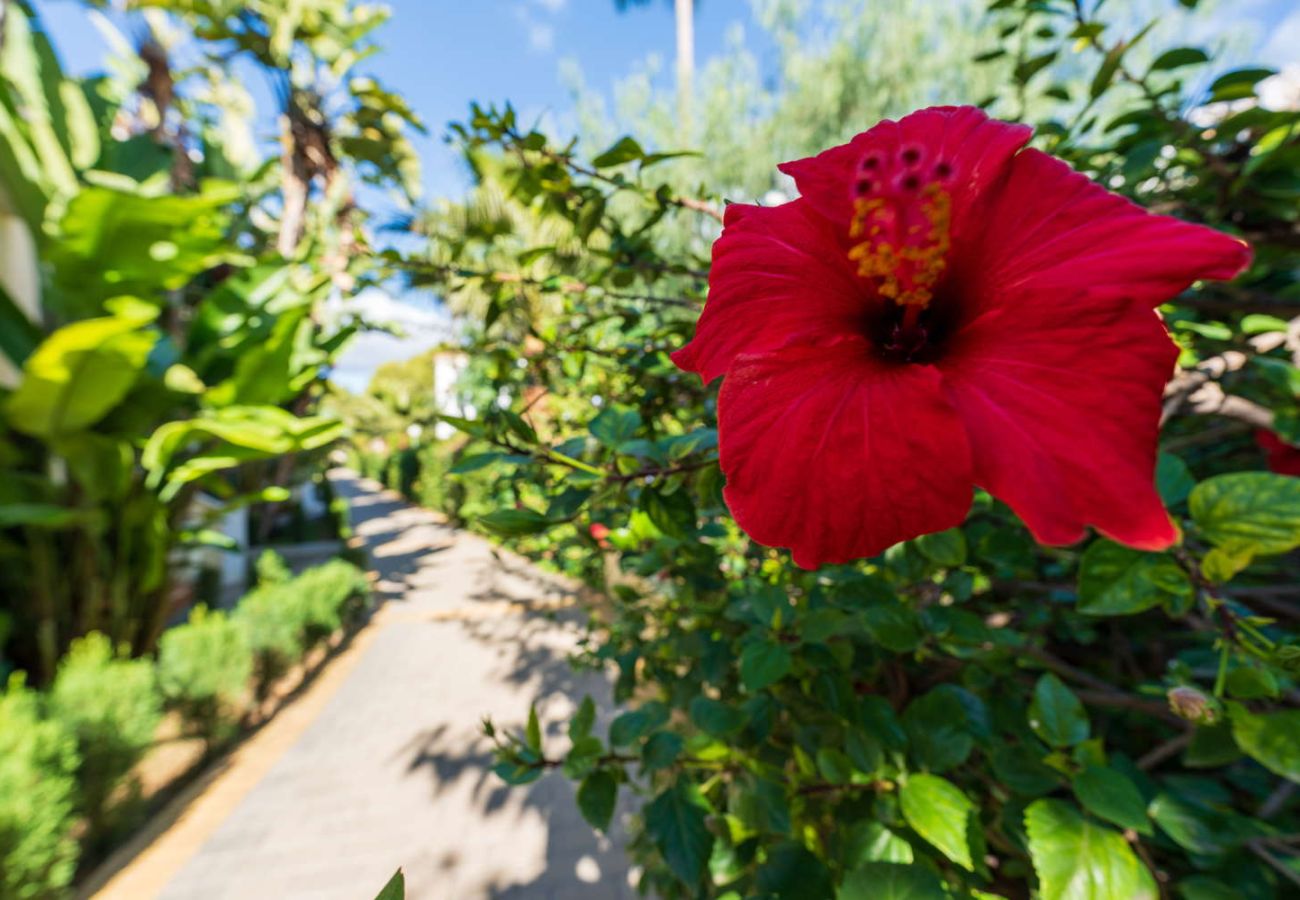 Casa a schiera a Nerja - Jardines de Burriana Deluxe by Casasol