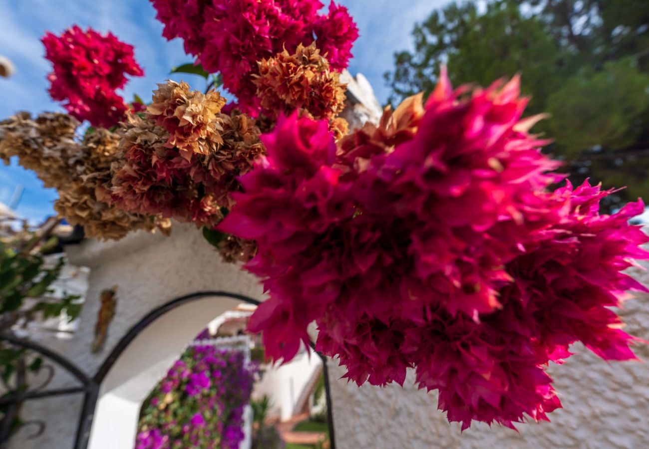 Appartamento a Nerja - Casa Tranquila: Appartamento con vista mare a San Juan de Capistrano, Nerja