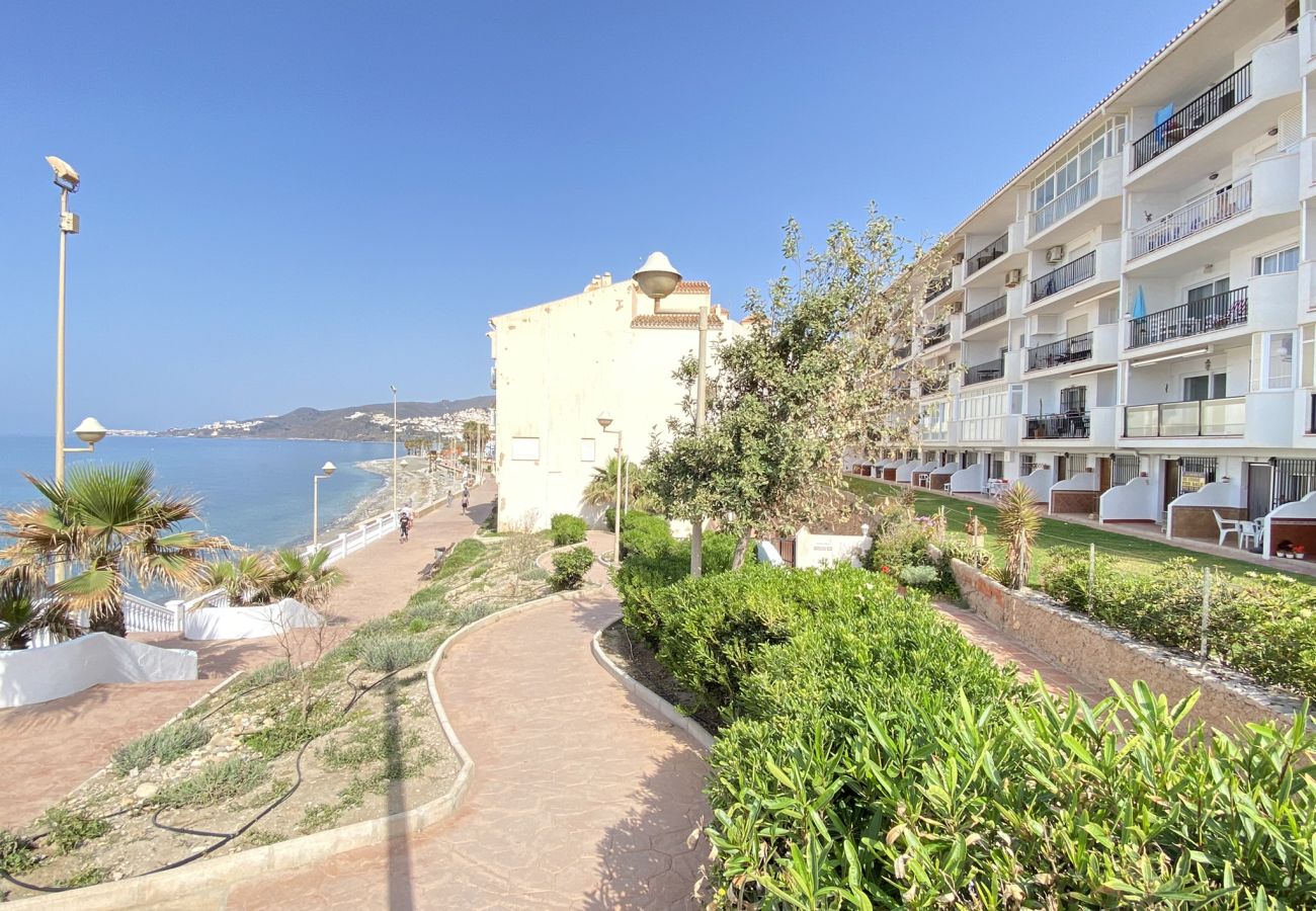 Appartamento a Nerja - Appartamento Arce I 26 a Playa Torrecilla Nerja con Vista Mare