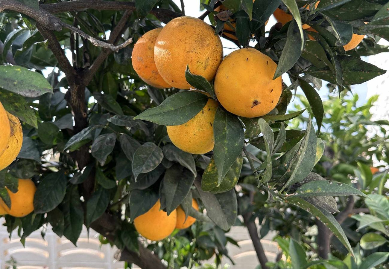 Villa a Nerja - Villa Jackson (La Casita): Villa con piscina privata a Fuente del Badén, Nerja